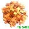 Code : TG5418